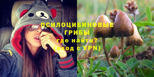 молекула духа Навашино