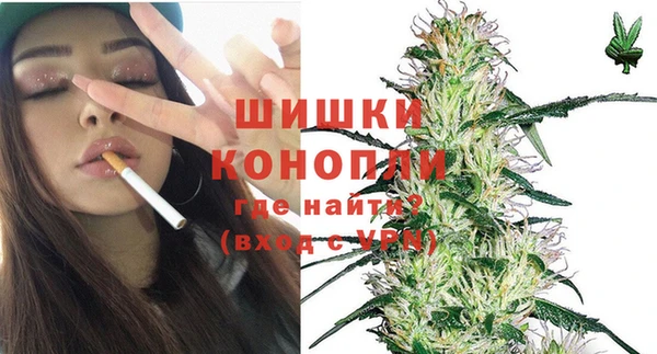 молекула духа Навашино