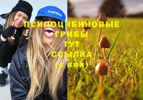 амф Ладушкин