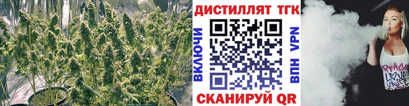 цена наркотик  даркнет телеграм  ТГК вейп  Кропоткин 