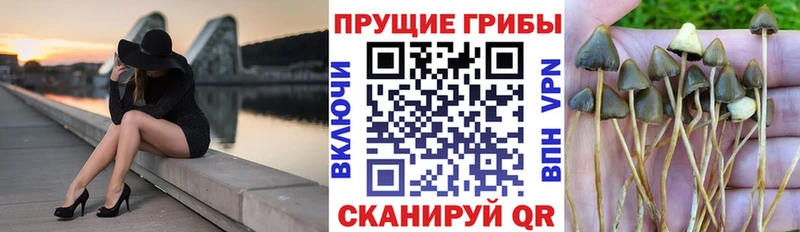 Галлюциногенные грибы Magic Shrooms  МЕГА онион  Кропоткин 
