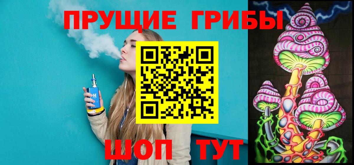 Псилоцибиновые грибы Cubensis Кропоткин