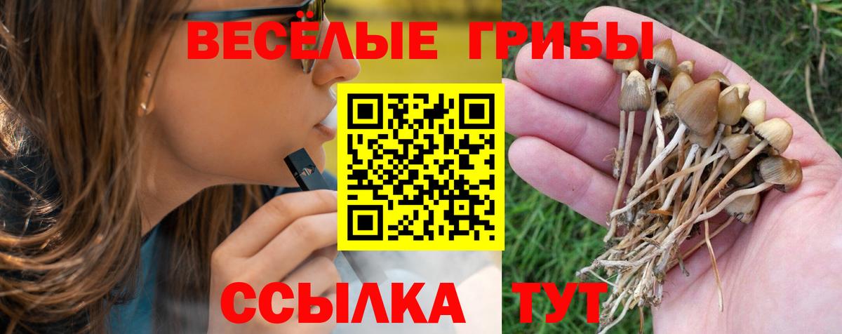 Псилоцибиновые грибы мицелий  Псилоцибиновые грибы Psilocybine cubensis  Кропоткин 